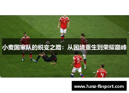 小麦国家队的蜕变之路：从困境重生到荣耀巅峰